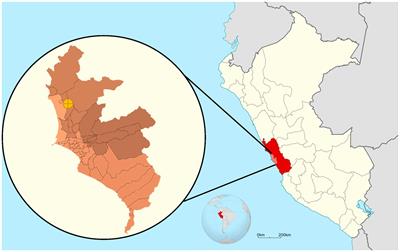 Epidemiology of neurocognitive disorders in adults from urban-marginalized areas: a door-to-door population-based study in Puente Piedra, Lima, Peru